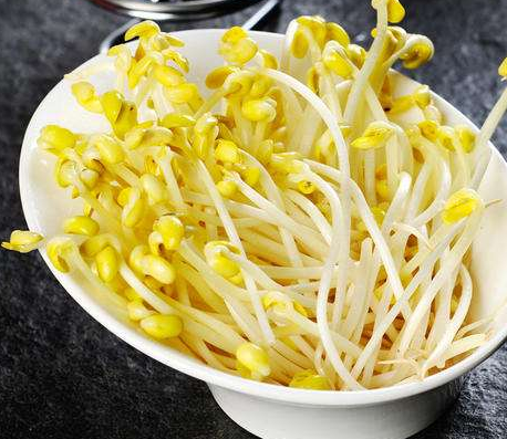 豆芽机生长的豆芽