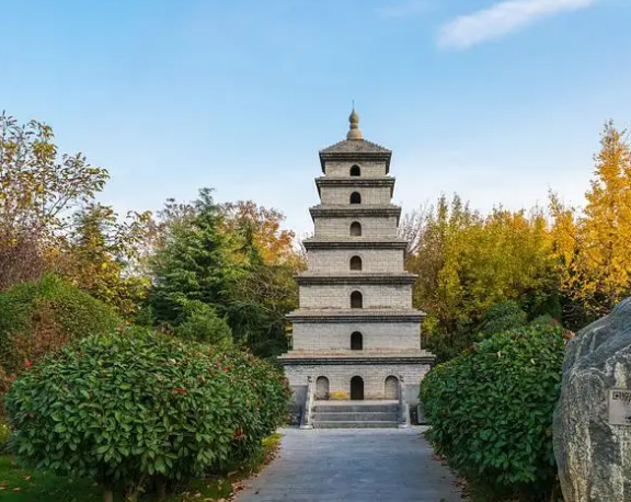 河南夫妻来考察千张机