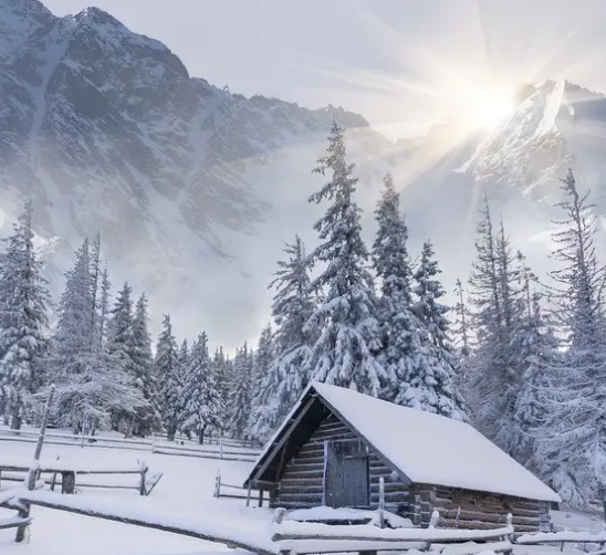 冬天用豆腐机做豆腐怎么样
