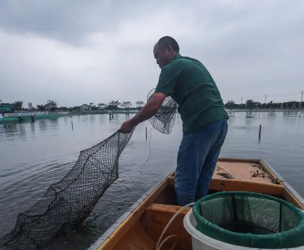 水产老铁用豆腐机做豆腐