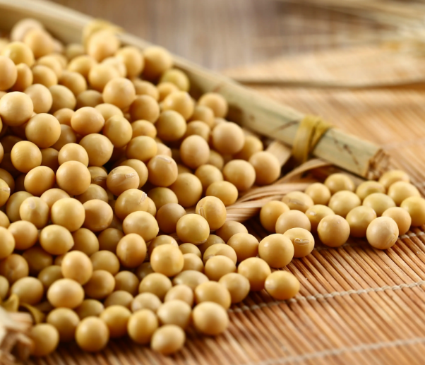 用豆腐机做豆腐，应该选用什么样的大豆
