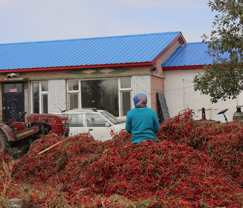 东北老铁做豆腐